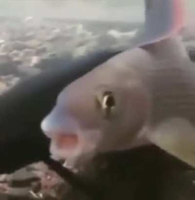 hmmm
