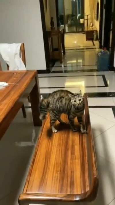 Bench crab