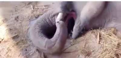 That sound. Satisfying, I really feel that big boy.