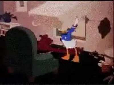 Donald - The original thing-fighting idiot