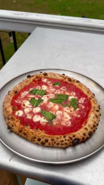 48-hour cold ferment, 65% hydration — Margherita & Pepperoni Neapolitan