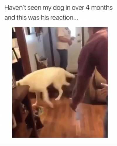 That look... lol