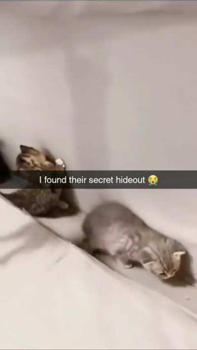 Wunk Hideout
