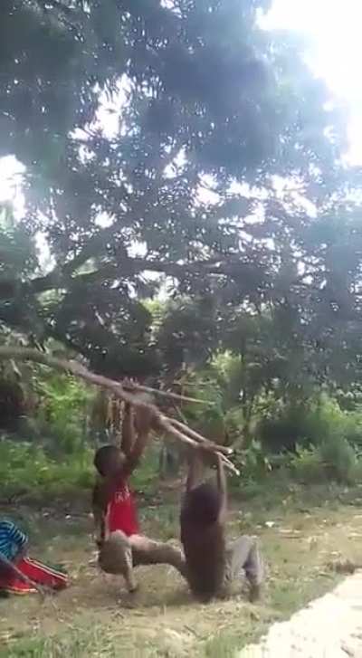 Maybe maybe maybe