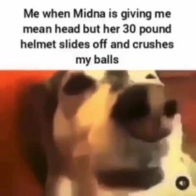 Twilight Princess reference