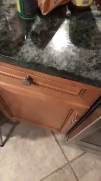 Who knew oatmeal was so hard to cook