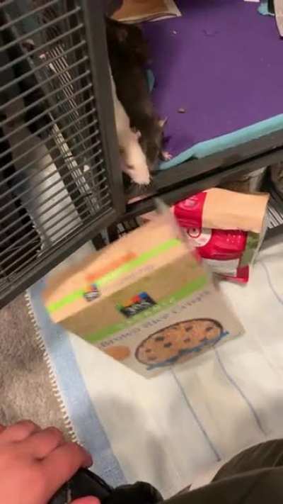 When your starving and need treats