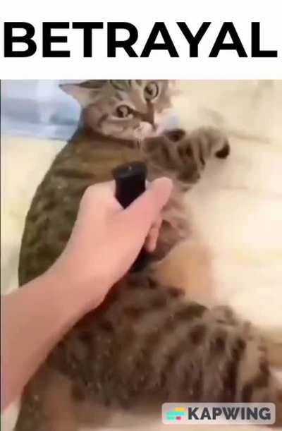 murder