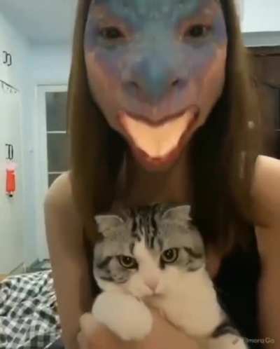 Face Recognition Warning: Reptilian Overlord Detected