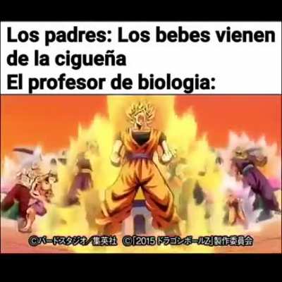 Equisde