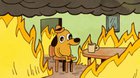 This is fine looping video