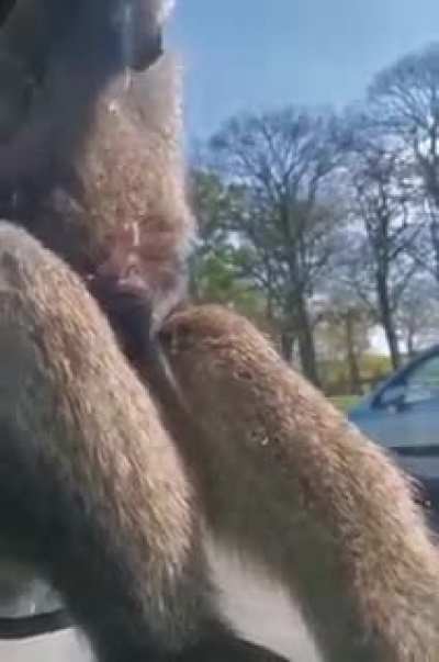 Hmm