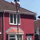 Born to fly