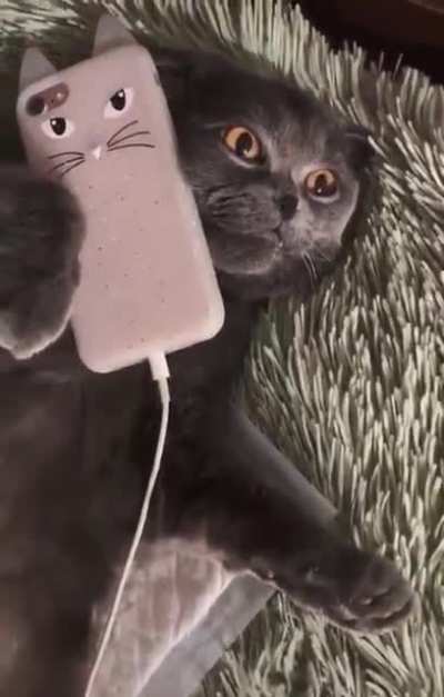 Wwwwrrrrraaaaaaa