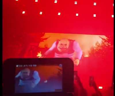 Losercity concert