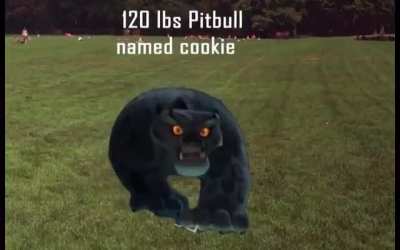 Rip Po
