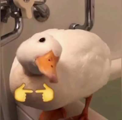 Imagens Amaldiçoadas ao som de Maskavo