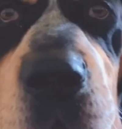 Random shitpost stuff and what da doin