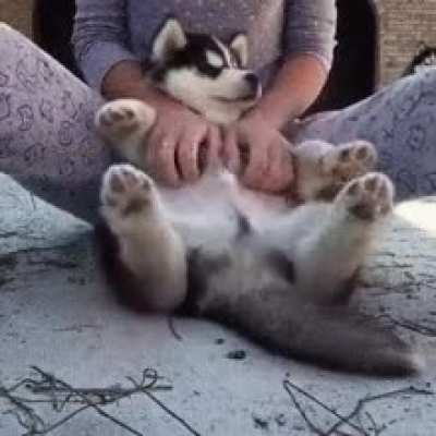 <3
