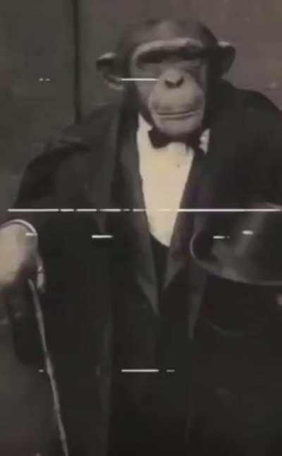 Dapper folks