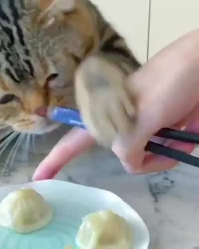 Лапу свою убрал