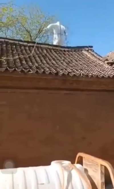 屋顶消毒