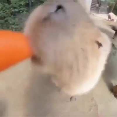 :D