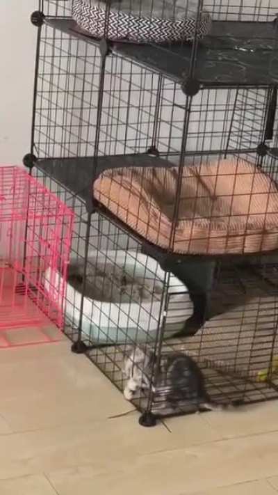 Maybe Maybe Maybe