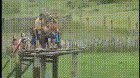 No core strength to keep his head out of the water...