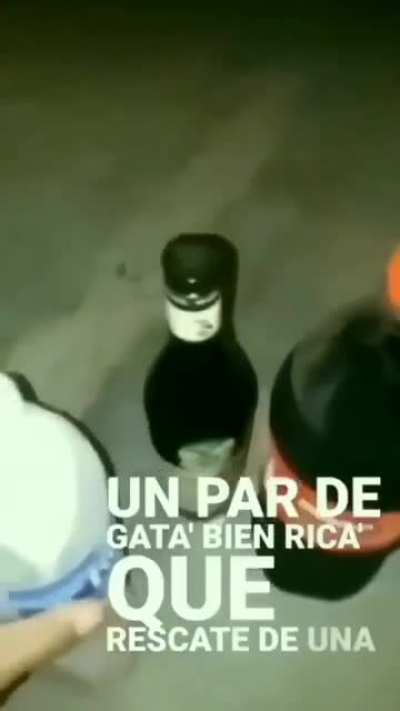 NOOOOO WACHIN