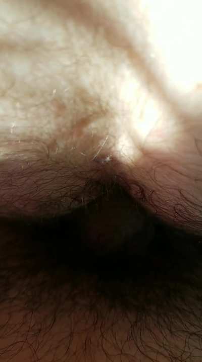 Anal GIF by uncutnhorny [34]