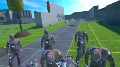 Video Dump 6 