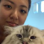 HOOMAN JUST STAHP WITH THE SELFIE ATTEMPTS