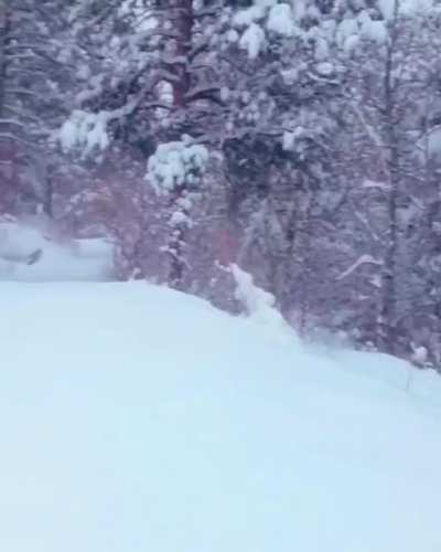 Jumpy snowplow