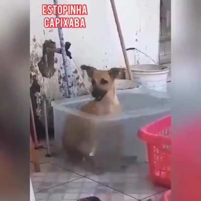 Bom dia galera, vejam esse vídeo e fiquem felizes 😃
