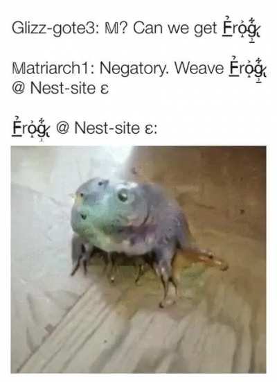 the frog abides