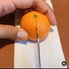Vitamin C-Section