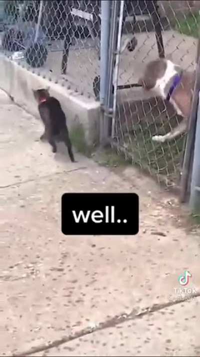 Come at me bro!