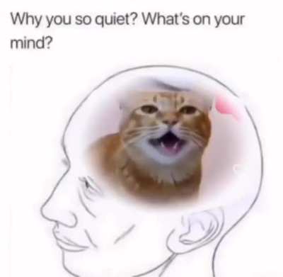 fsdfwegf34g34v34
