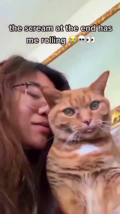 MWÅÄĀÆ