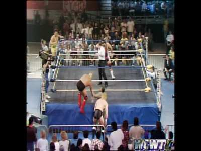 The Steiner Brothers VS The Skyscrapers