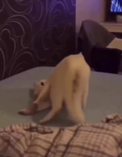 fear me