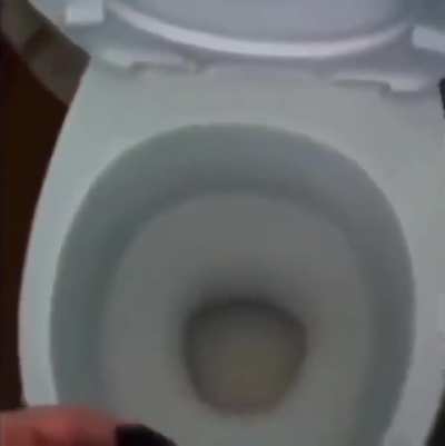 blursed_pissing