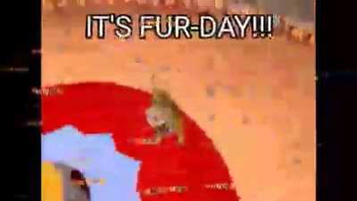 ES FUR-DAY!!! ❤️😺🦊🐻🐕🐯🦁🐵🐹🐭
