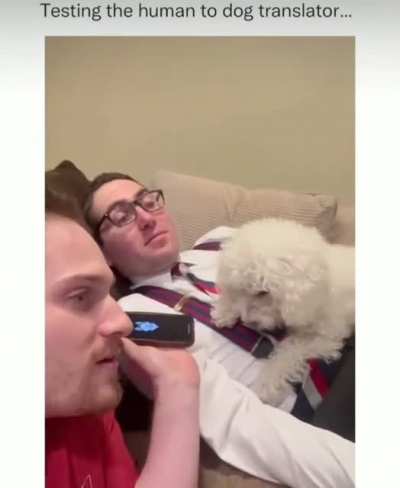 The dog was having none of it