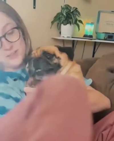 Dog screams while owner tries to trim his nails