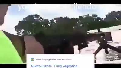 Pobres furros