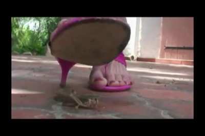 Crush locust