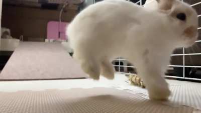 Tiny slo-mo binky
