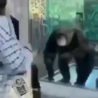 👏👏👏